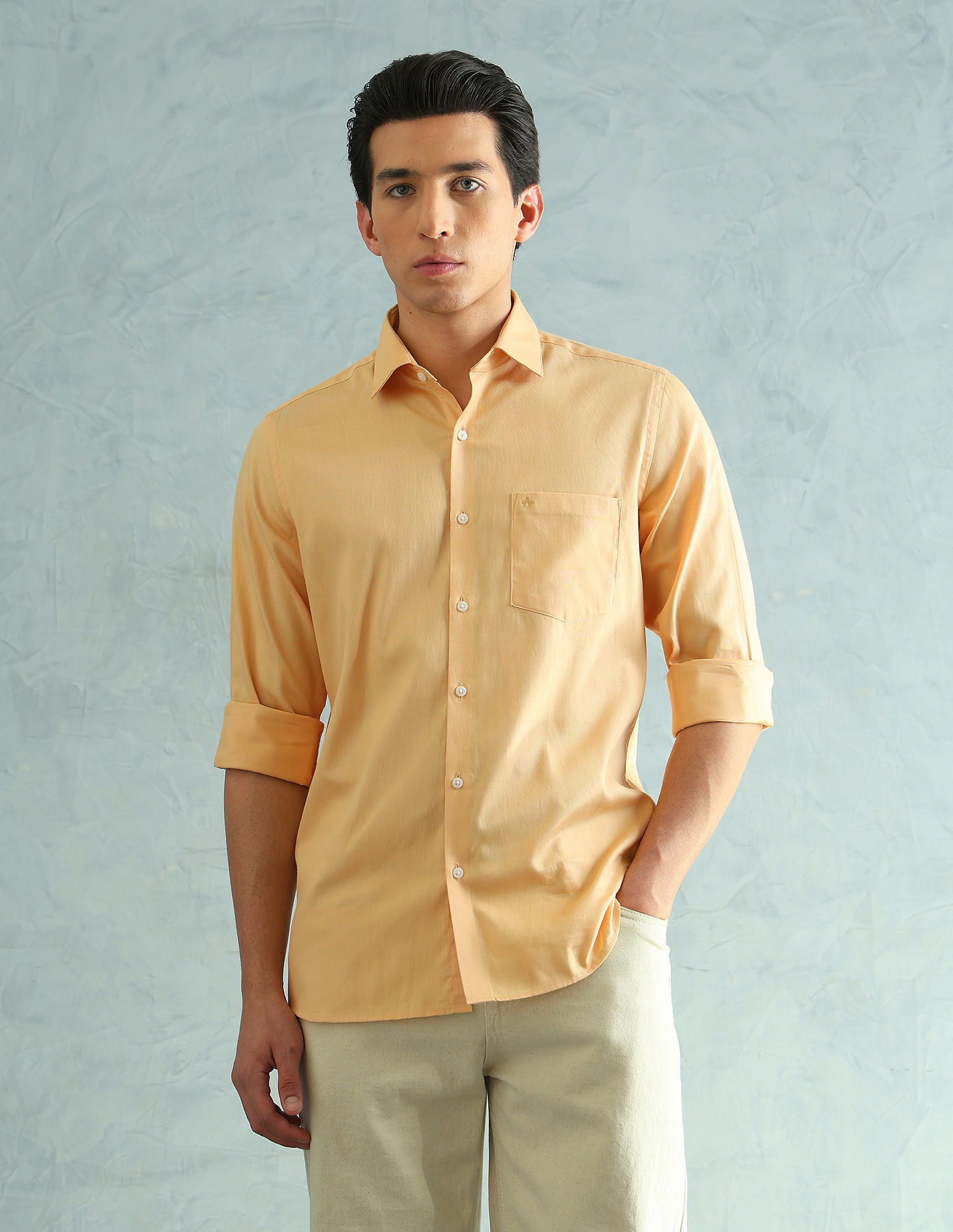Arrow Full sleeves Slim Fit Smart Formal Shirt