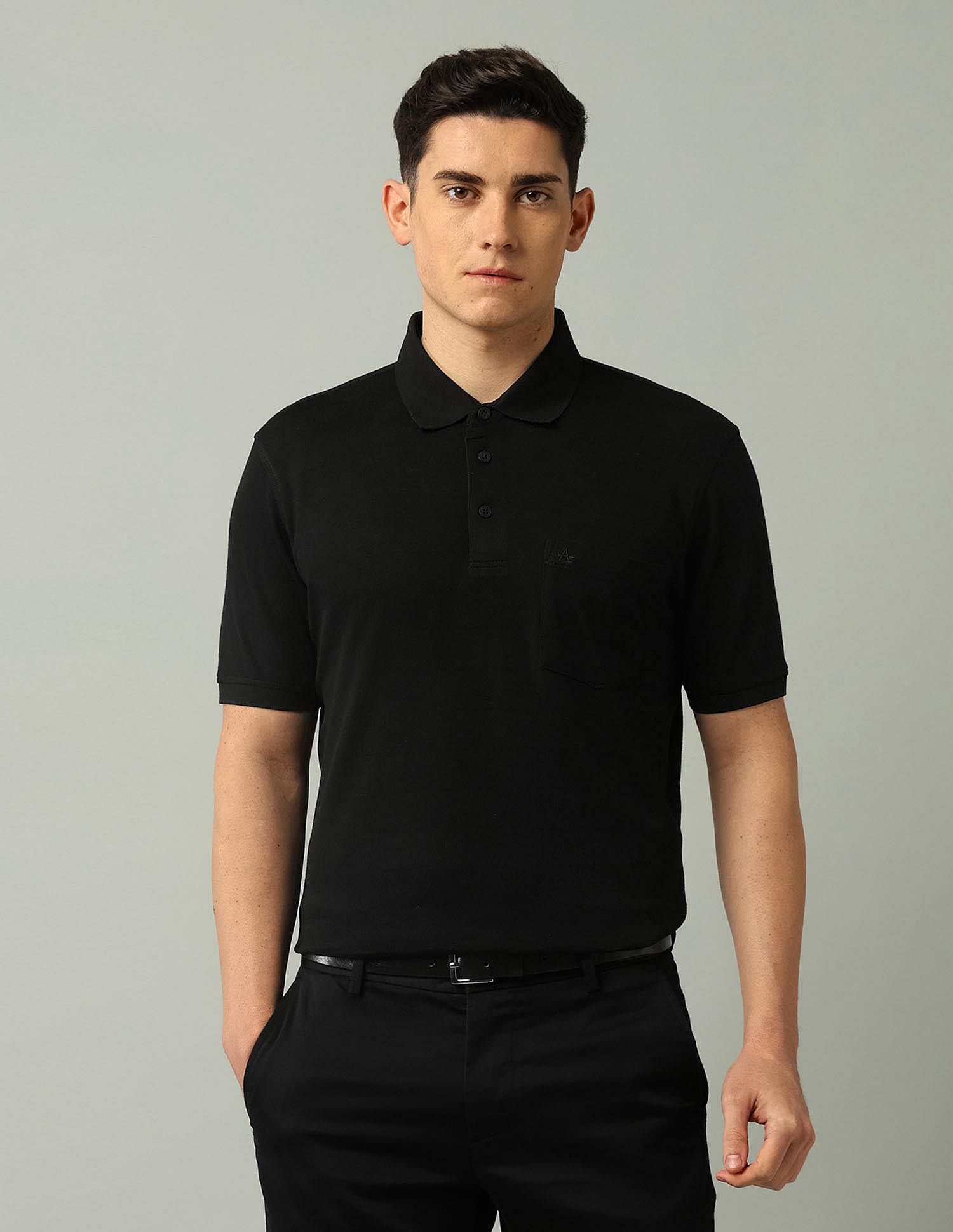 Arrow Solid Regular Fit Polo Shirt