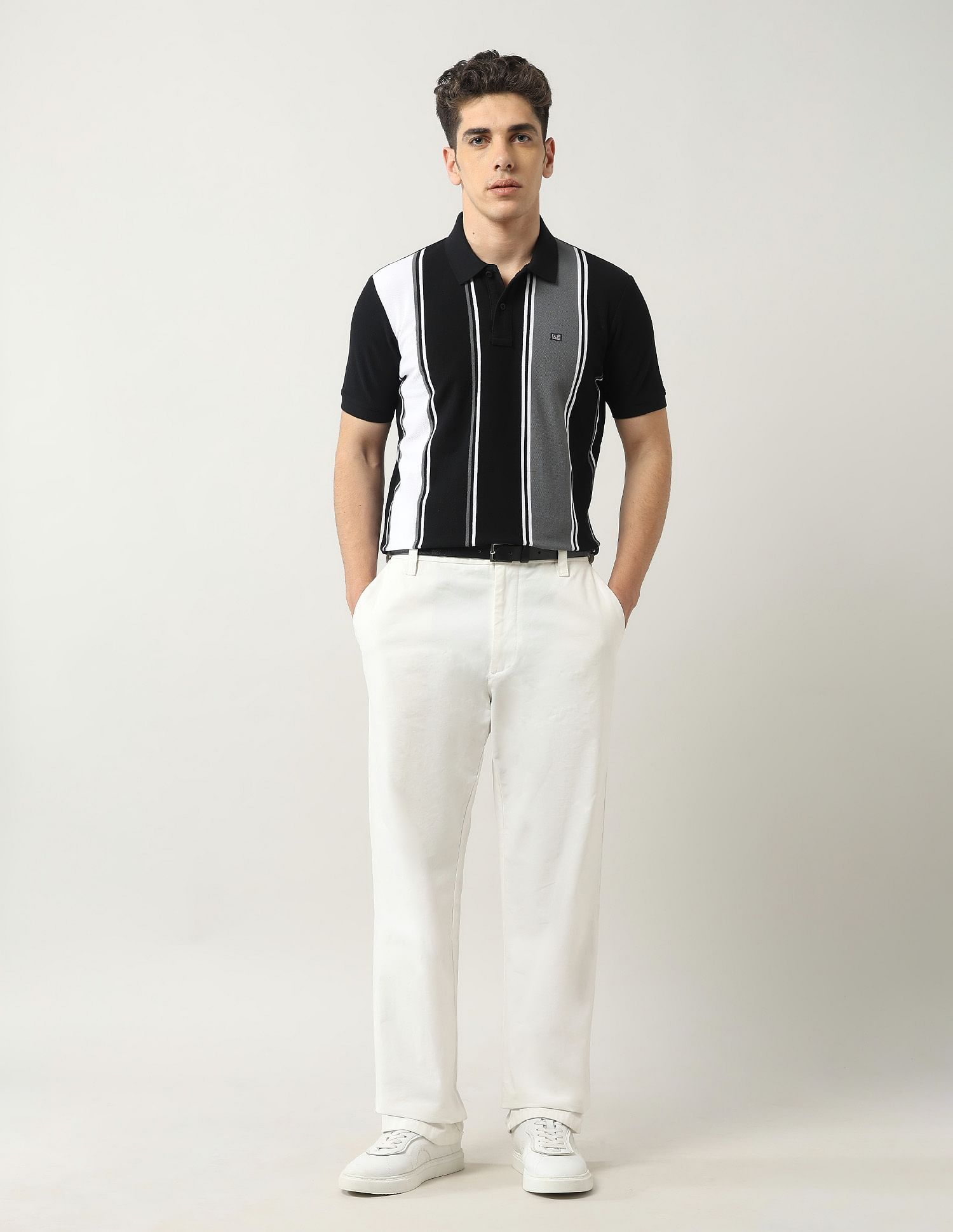Arrow Sport Vertical Striped Regular Fit Polo Shirt