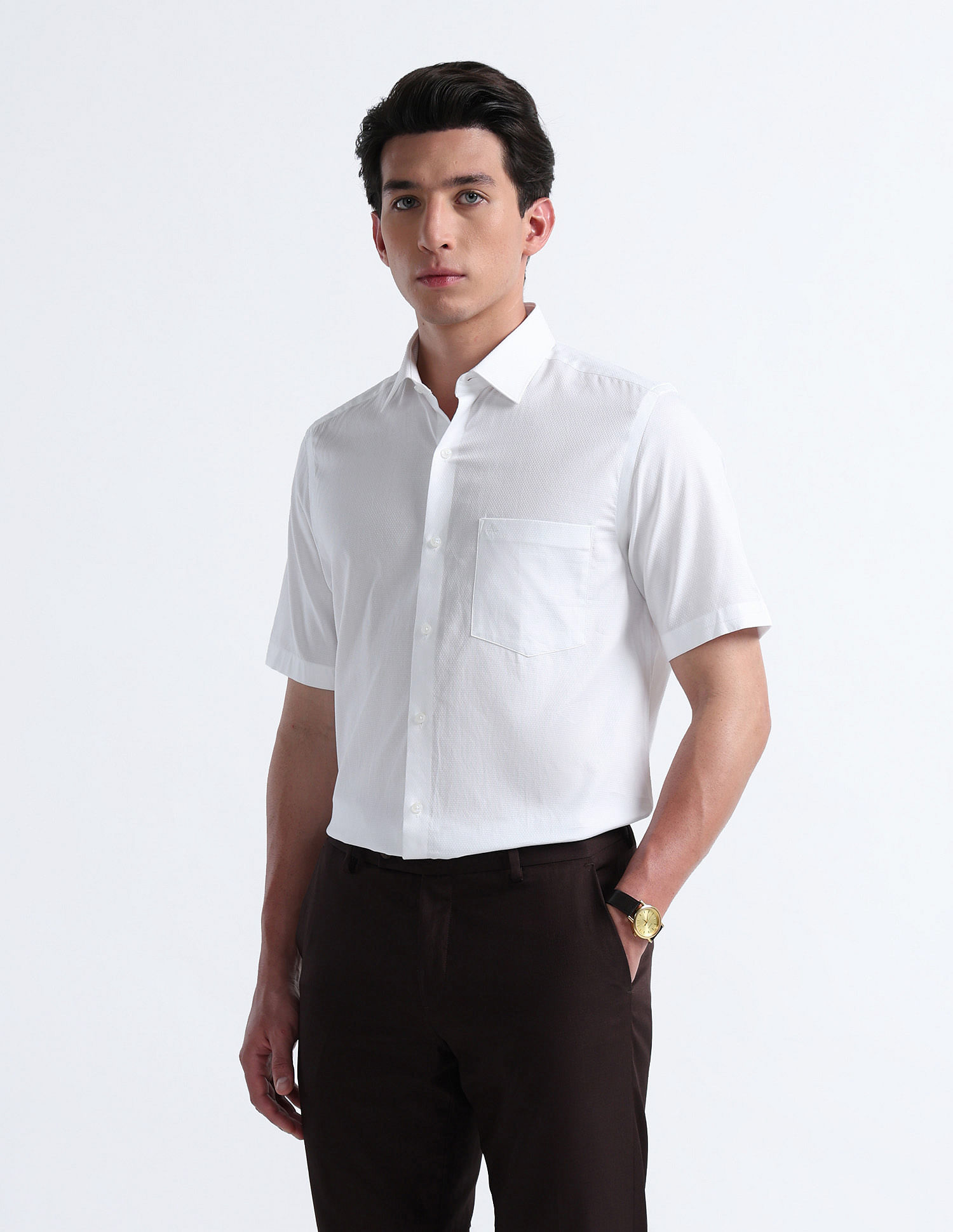 Arrow Liberty Classic Fit Iconics Shirt