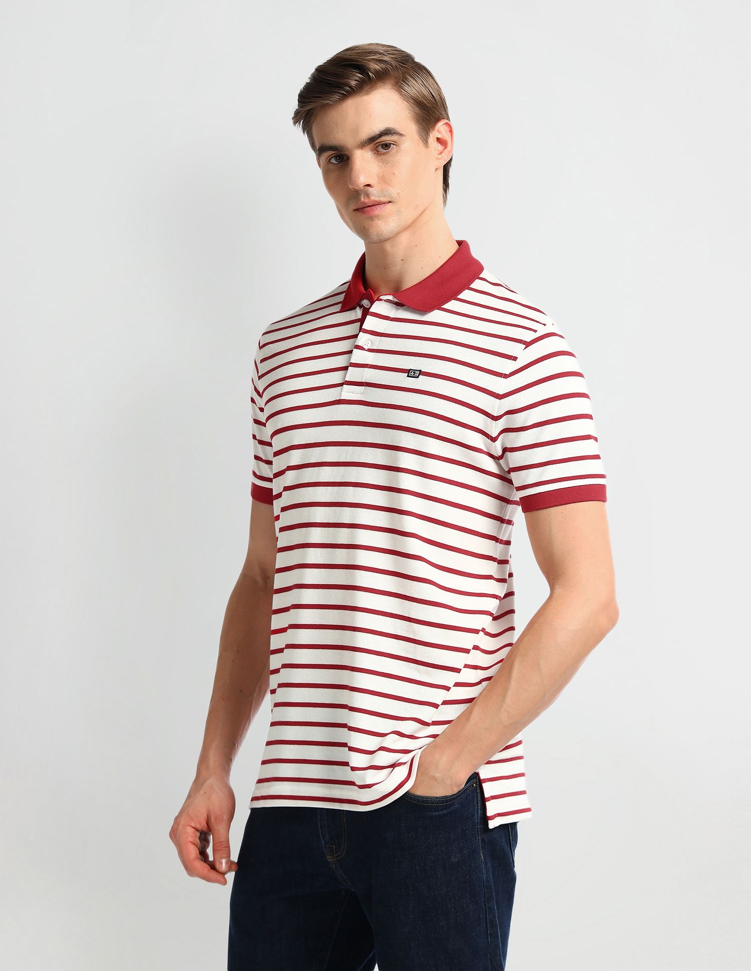 Arrow Sport Regular Fit Striped Polo Shirt