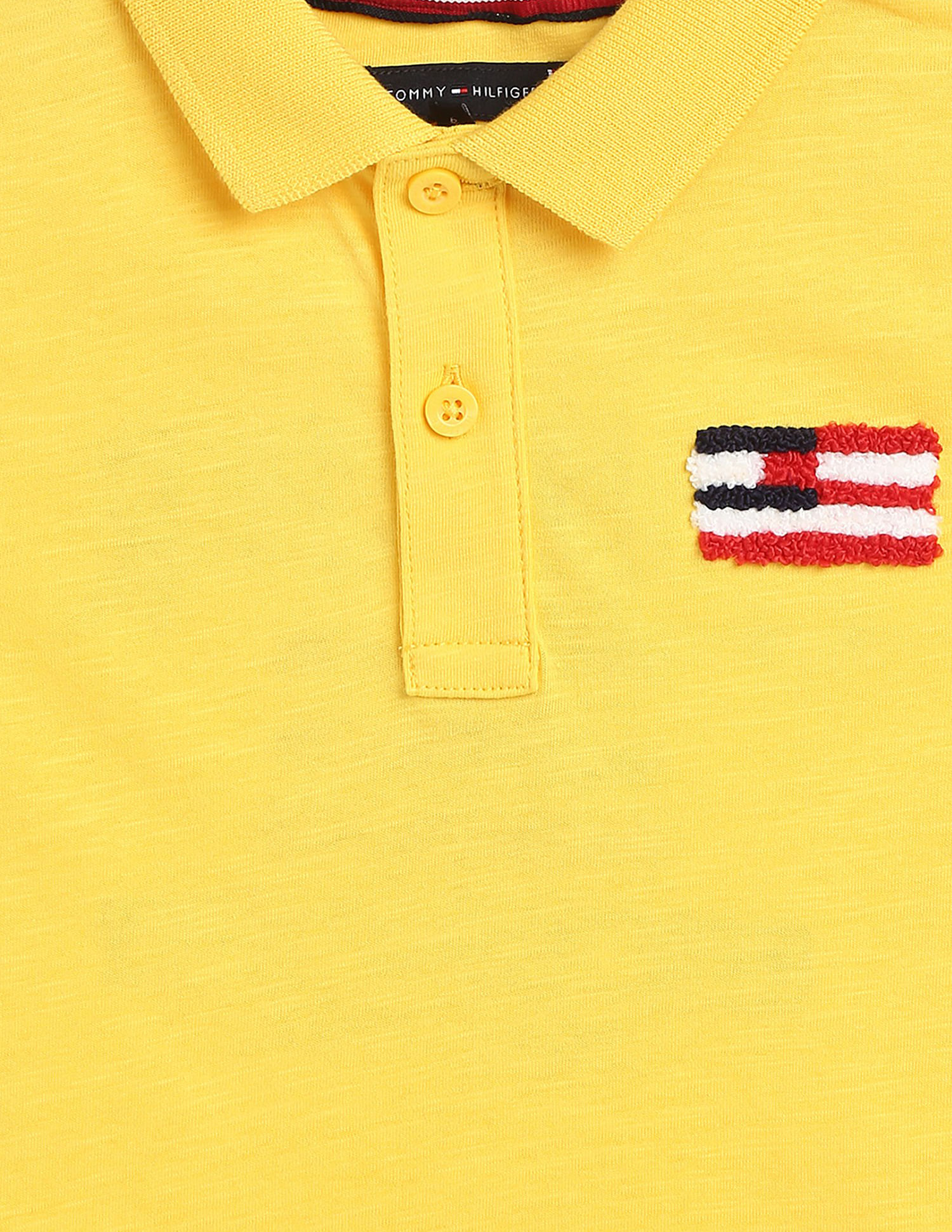 Tommy Hilfiger Kids Printed Regular Fit Polo T-Shirt