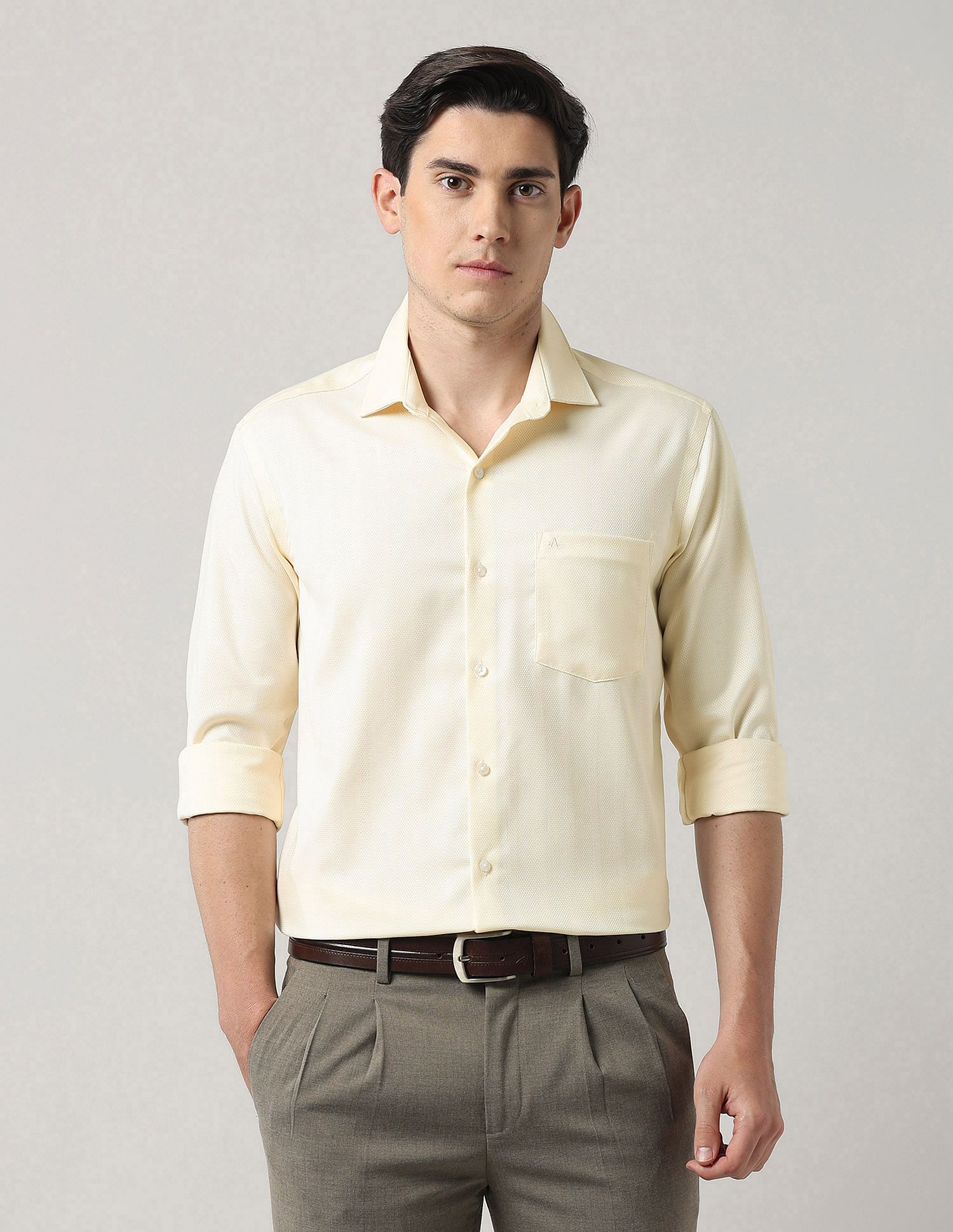 Arrow Textured Manhattan Slim Fit Autopress Shirt