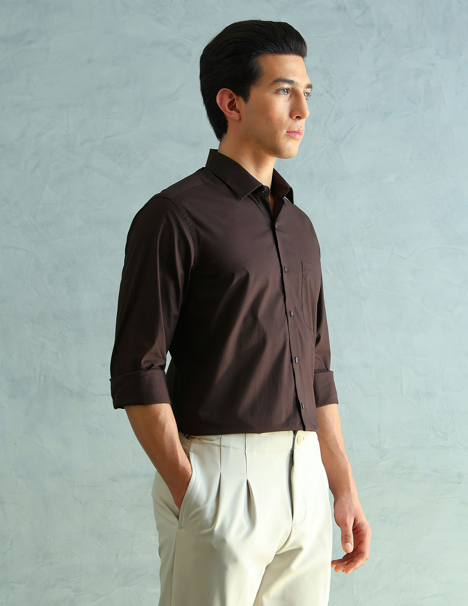 Arrow Slim Fit Smart Formal Shirt