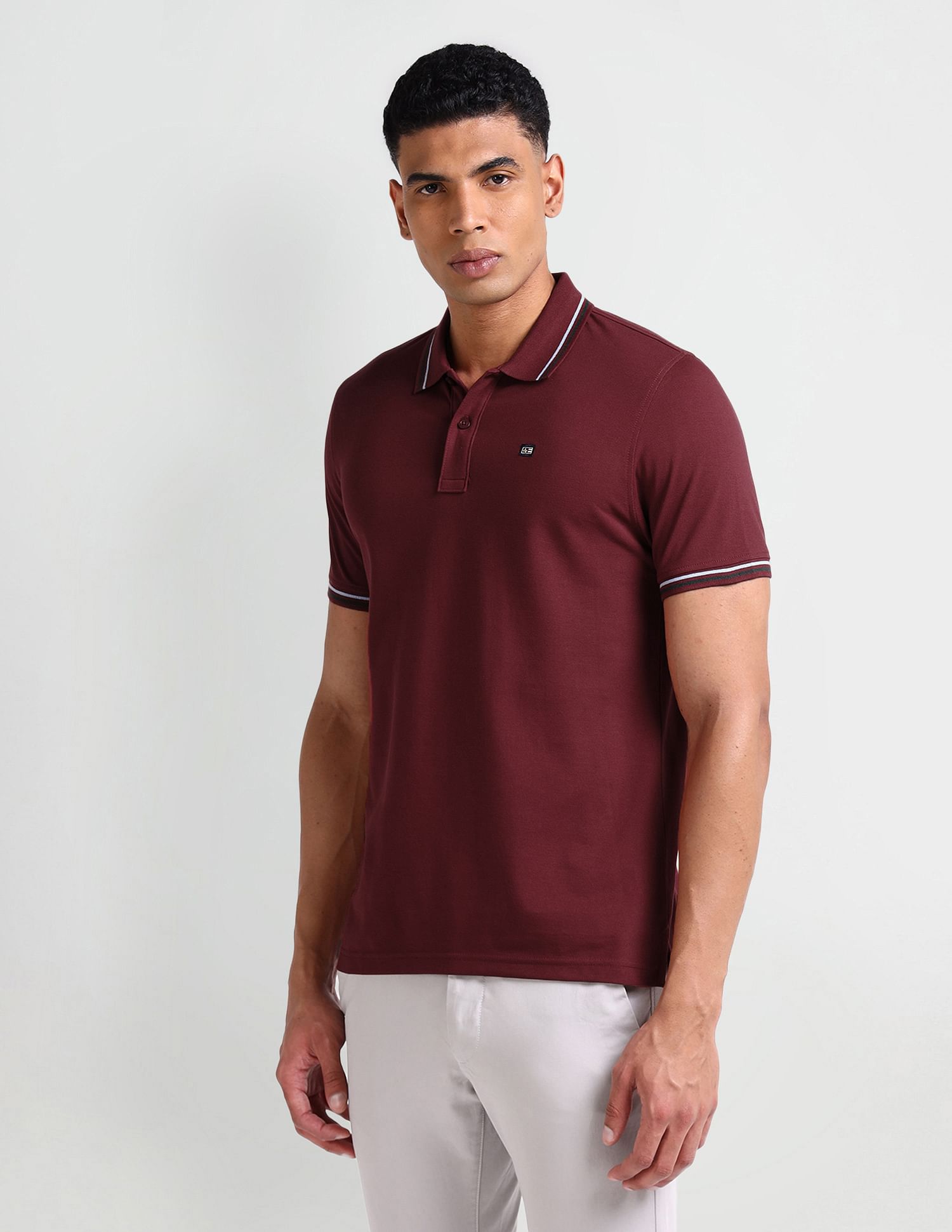 Arrow Sport Striped Collar Solid Polo Shirt