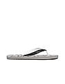 Aeropostale Stamped Flip Flops