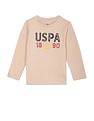 U.S. Polo Assn. Kids Boys Beige and Wine Brand Print T-Shirt - Pack Of 2