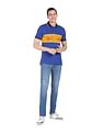 AD by Arvind Contrast Panel Printed Polo Shirt