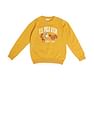 U.S. Polo Assn. Kids Boys Printed Cotton Sweater