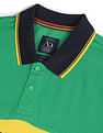 AD by Arvind Cotton Colour Block Polo Shirt