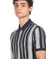 AD by Arvind Cotton Vertical Striped Polo Shirt