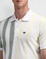 Arrow Sport Vertical Striped Regular Polo Shirt