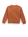 U.S. Polo Assn. Kids Boys Mascot Print Sweatshirt