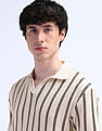 Flying Machine Vertical Striped Relaxed Polo Shirt