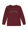Tommy Hilfiger Kids Boys Monotype Embroidered Regular T-Shirt