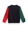 U.S. Polo Assn. Kids Boys Colour Block Sweatshirt