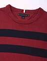 Tommy Hilfiger Striped Regular-Fit Cotton Sweater