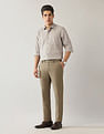 Arrow Vertical Striped Liberty Classic Fit Shirt