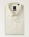 Arrow Micro Checked Autopress Shirt