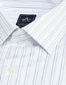 Arrow Slim Fit Vertical Striped Shirt