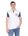 AD by Arvind Cotton Colour Block Polo Shirt