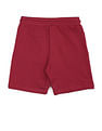 U.S. Polo Assn. Kids Boys Pure Cotton Mid Rise Shorts
