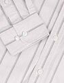 U.S. Polo Assn. Oxford Vertical Striped Shirt
