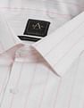 Arrow Liberty Classic Fit Vertical Striped Shirt