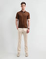Arrow Solid Regular Polo Shirt